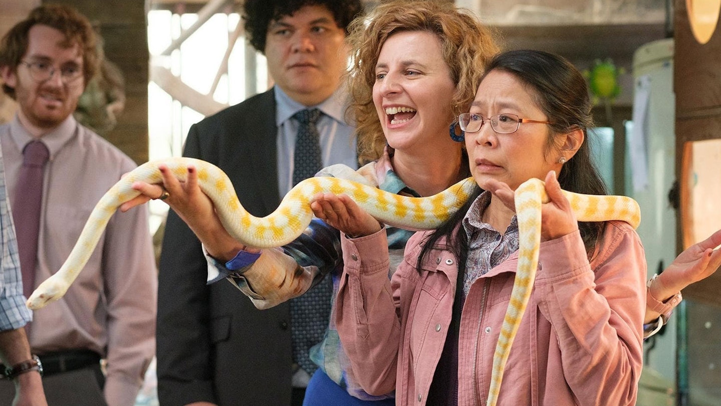 The Office (Australia)