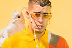 Image result for Everything you need to know about Bad Bunny Family